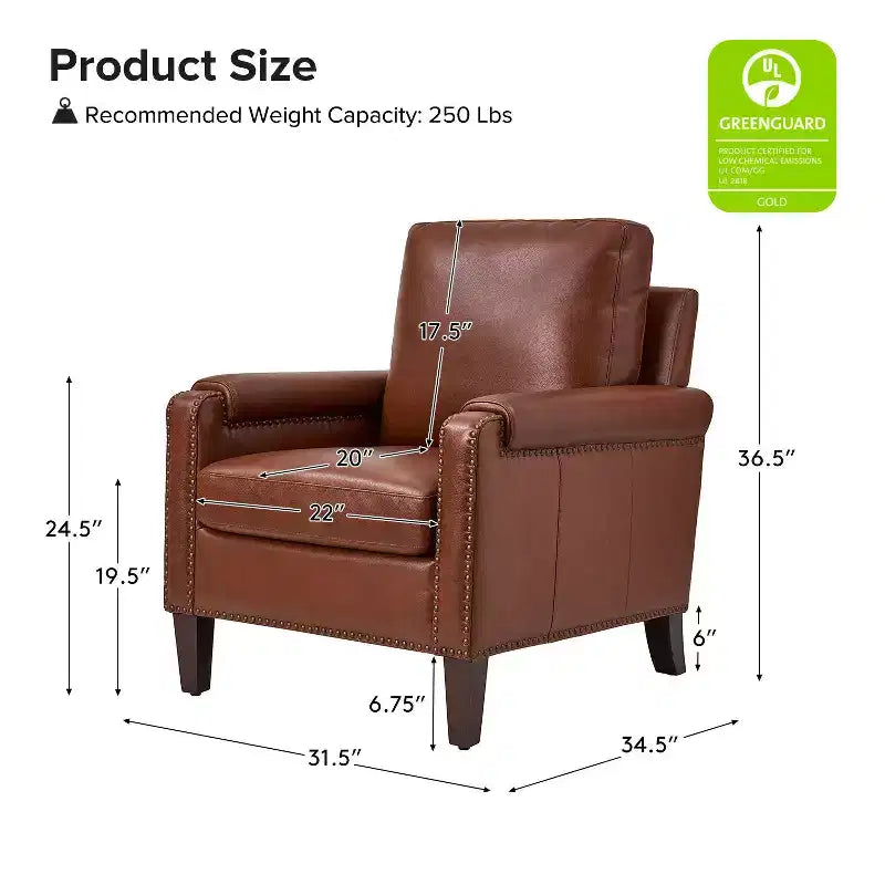 Genuine Leather Armchair with Removable Cushion and Nailhead Trims, Transitional Accent Chair