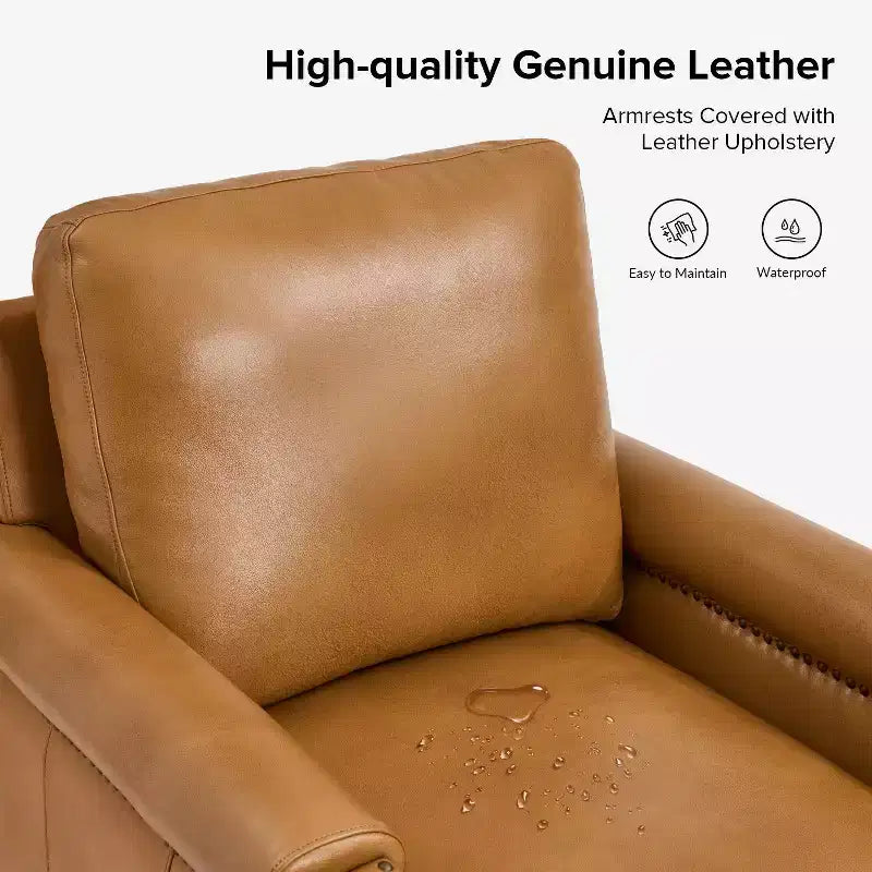 Genuine Leather Armchair with Removable Cushion and Nailhead Trims, Transitional Accent Chair
