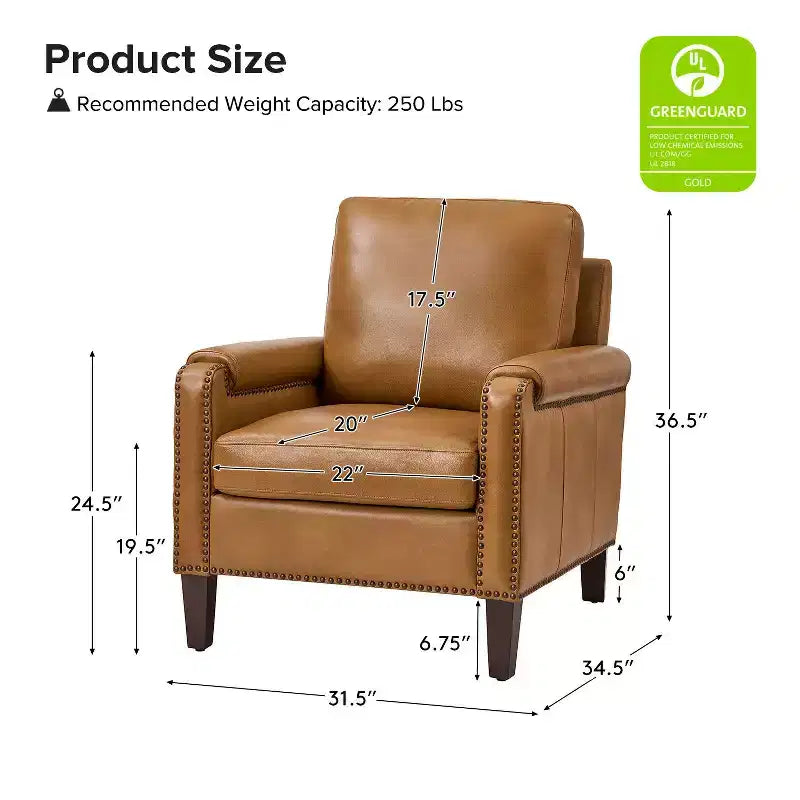 Genuine Leather Armchair with Removable Cushion and Nailhead Trims, Transitional Accent Chair