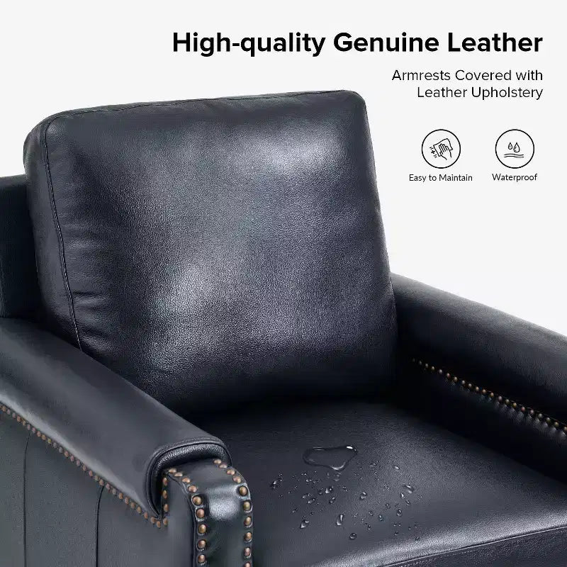 Genuine Leather Armchair with Removable Cushion and Nailhead Trims, Transitional Accent Chair
