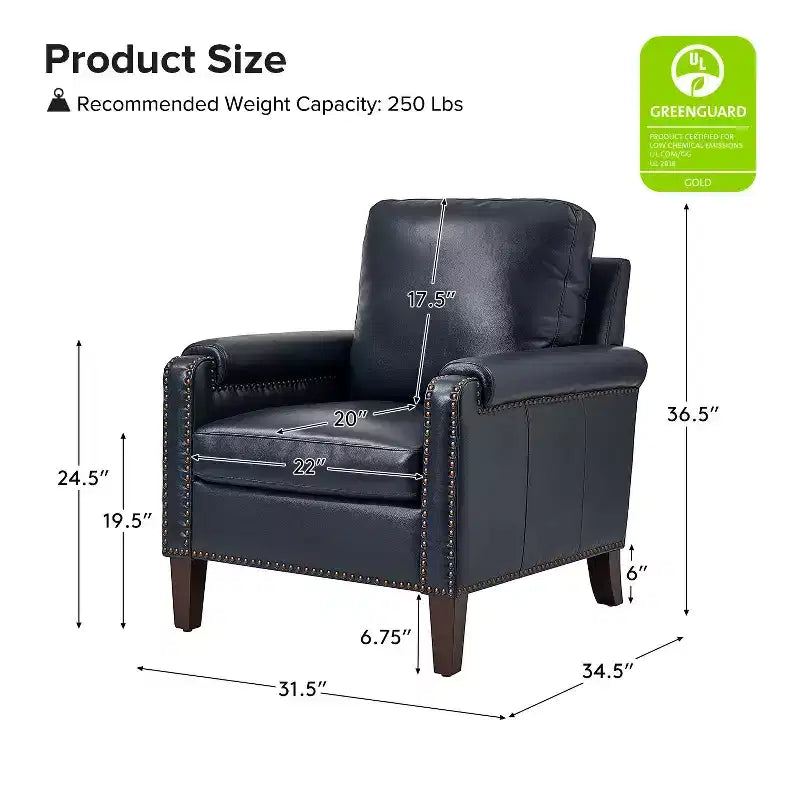 Genuine Leather Armchair with Removable Cushion and Nailhead Trims, Transitional Accent Chair